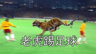 功夫女足这特效真的绷不住了,竟然花了1.9亿