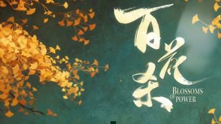 《百花杀》影视推荐