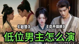《花开锦绣》影视推荐