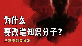 《“极少数巨婴碰瓷了大量公共资源”》热播资讯