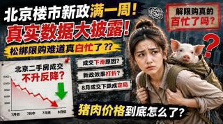 《重磅!北京调整房地产政策》影视推荐