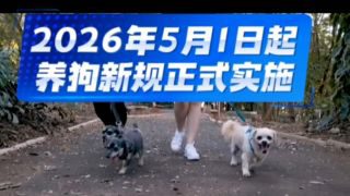 《加油新规11月起正式实施》影视推荐
