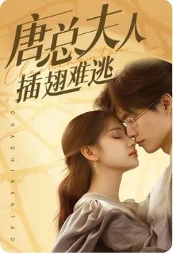 日本免费高清观看电视剧百度云电影网站天下无双